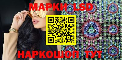 спиды Донской