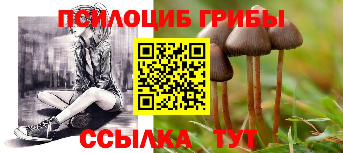 Псилоцибиновые грибы GOLDEN TEACHER Медногорск