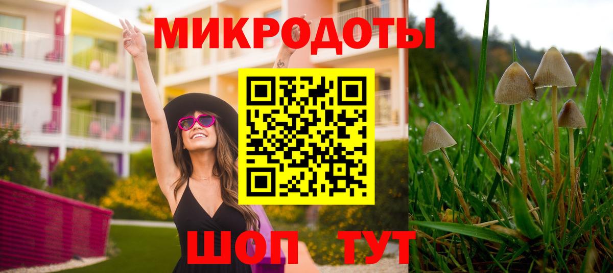 Галлюциногенные грибы прущие грибы  Вход с VPN  Медногорск  Псилоцибиновые грибы GOLDEN TEACHER 